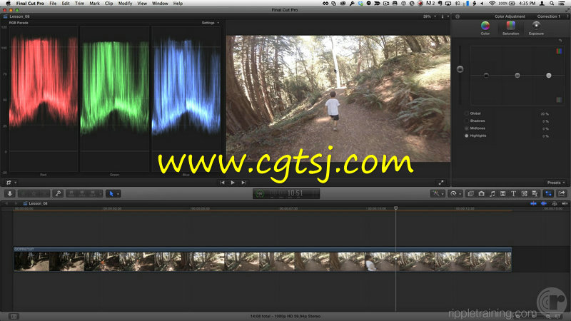 Final Cut Pro X色彩校正技术训练视频教程的图片2