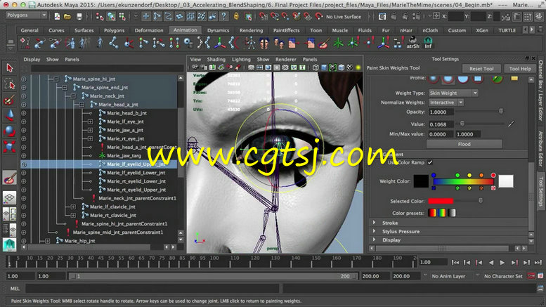 Maya面部表情骨骼动画技术视频教程的图片2