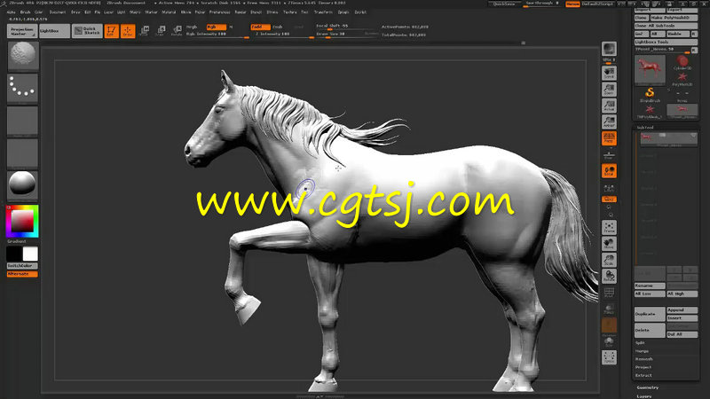 Zbrush 4R6初学者入门训练视频教程的图片1