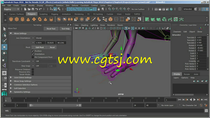 Maya 2016基础技能训练视频教程的图片3