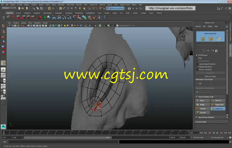 Zbrush巨龙网状拓扑制作视频教程的图片3