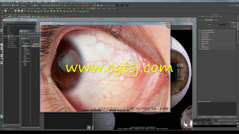 Maya与zBrush超精细眼睛制作实例训练视频教程的图片3