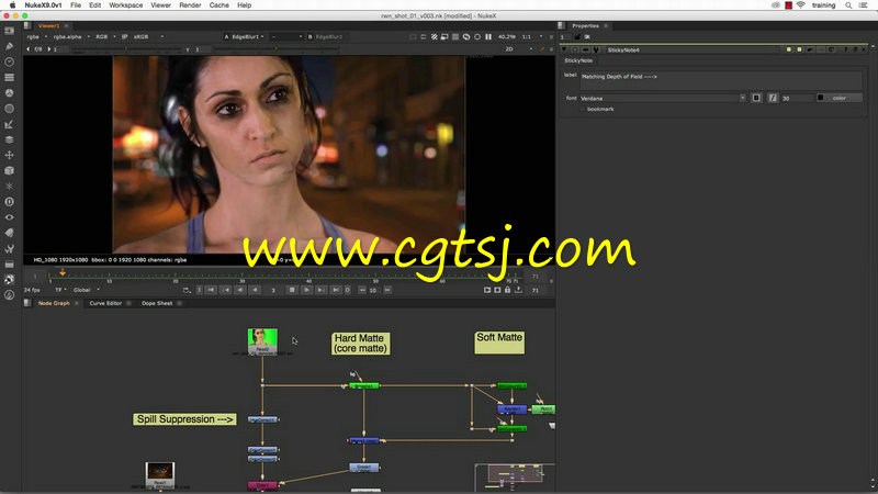 Nuke绿屏键控视效合成技术视频教程的图片1