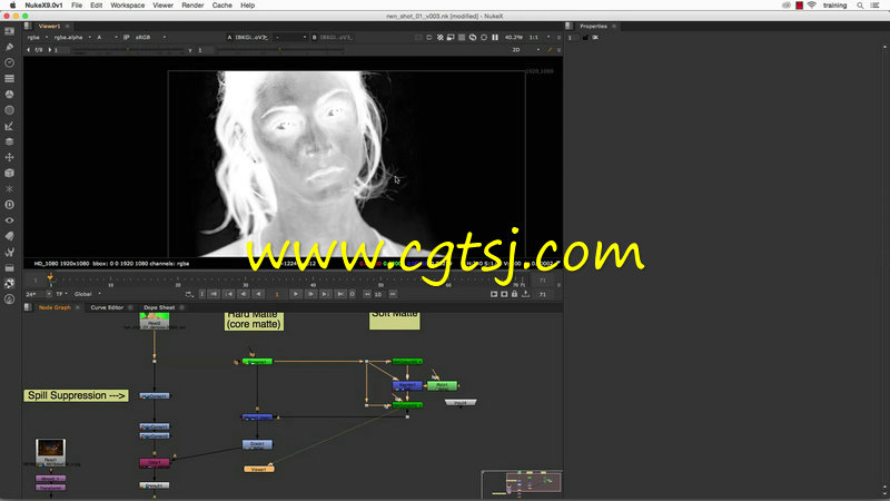 Nuke绿屏键控视效合成技术视频教程的图片2