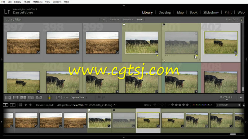 Lightroom CC全面核心训练视频教程的图片3