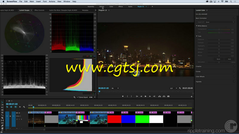 Premiere Pro CC 2015色彩校正技术视频教程的图片1