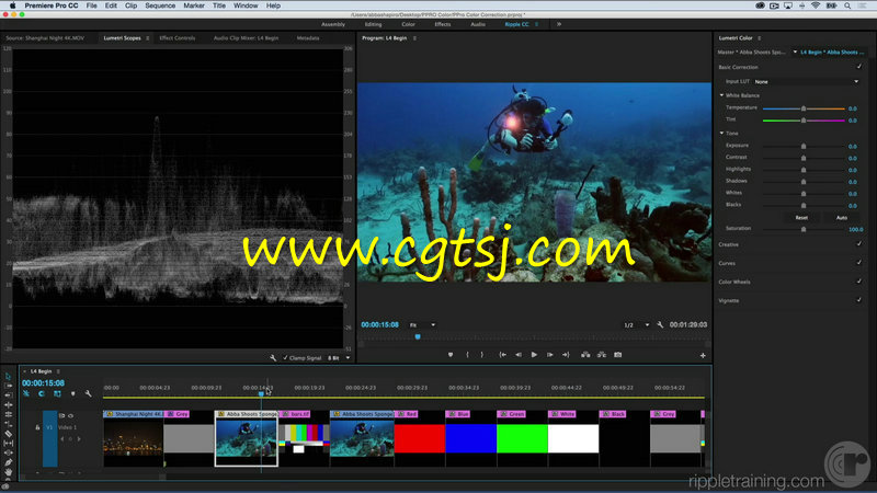 Premiere Pro CC 2015色彩校正技术视频教程的图片2