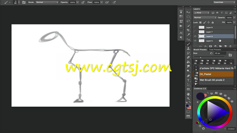 动物解剖数字绘画训练视频教程的图片3