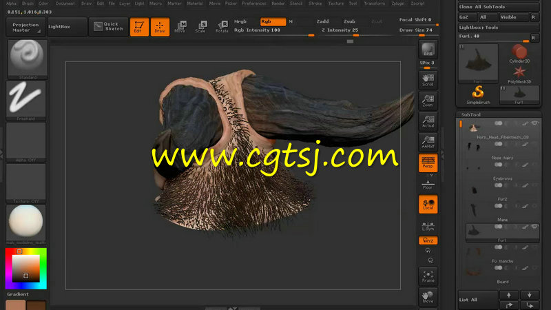 ZBrush中Fibermesh毛发系统实例训练视频教程的图片4