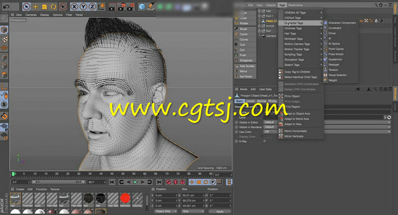 C4D角色面部毛发制作训练视频教程的图片4