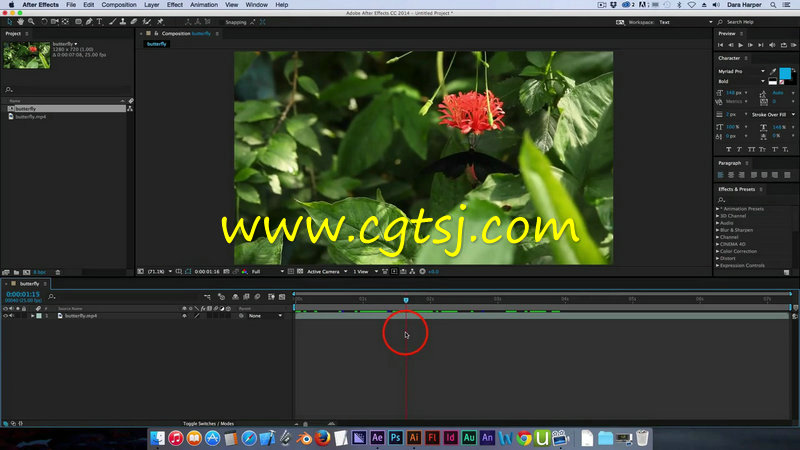 AE高级动画技术训练视频教程的图片3