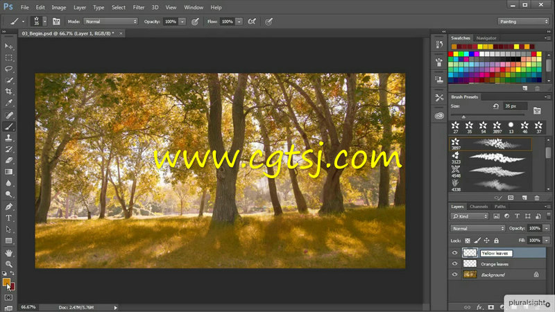 AE与PS秋季公园环境特效视频教程的图片2