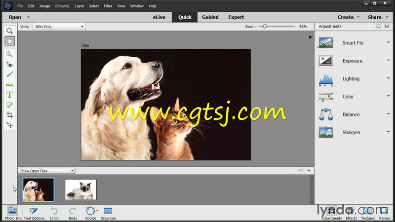 Photoshop Elements 14全面核心训练视频教程的图片2