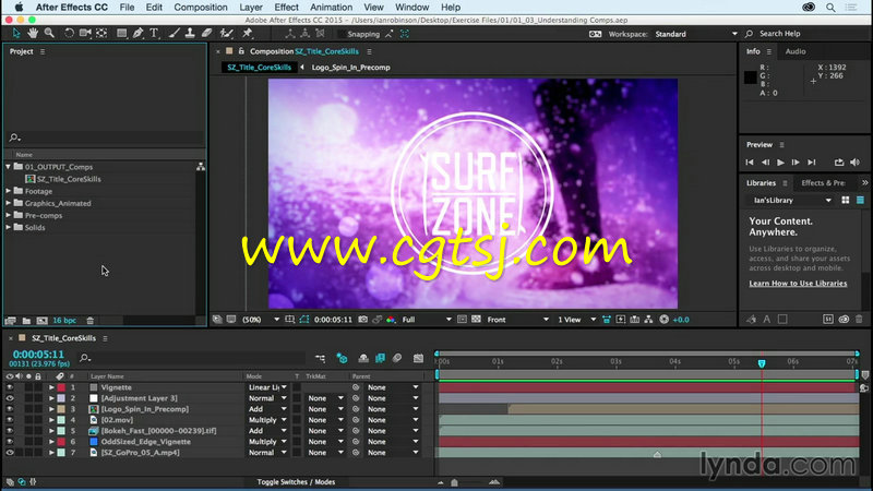 After Effects CC 2015基础核心训练视频教程的图片3