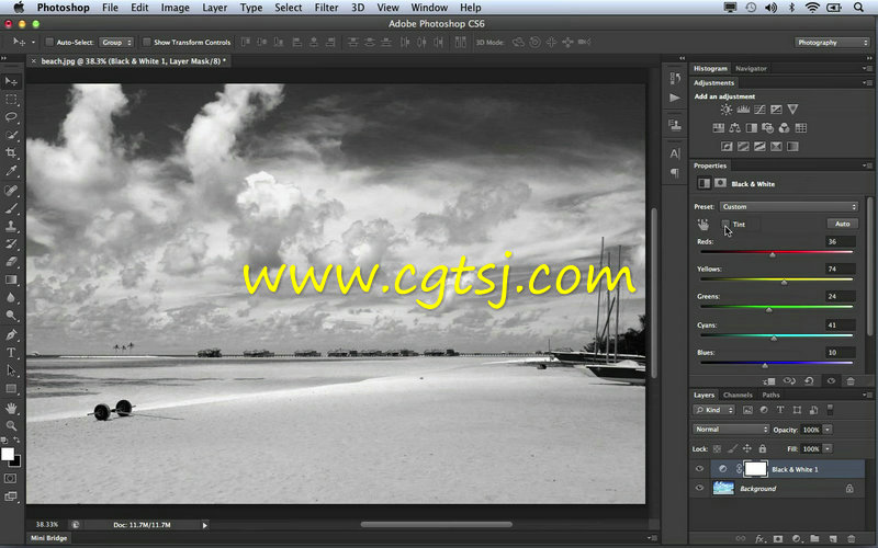 Photoshop CC基础技能实例训练视频教程的图片1