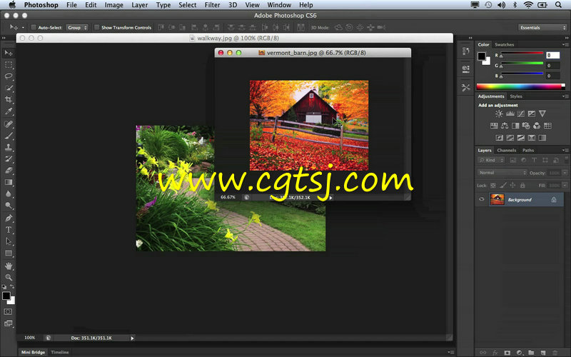 Photoshop CC基础技能实例训练视频教程的图片2
