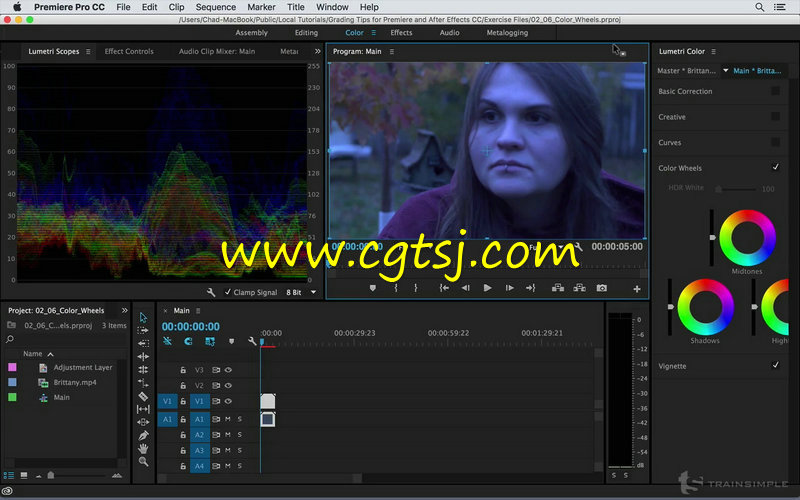 Adobe CC系列影视软件色彩分级调色技巧视频教程的图片1