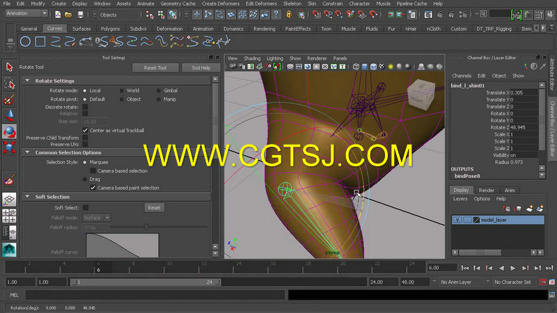 Maya2014角色骨骼制作技巧视频教程的图片5