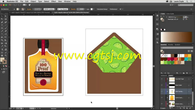 Illustrator CC插画高效技巧视频教程的图片2