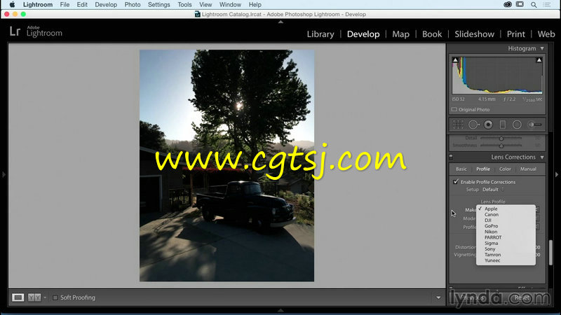 Lightroom图像编辑核心技巧视频教程的图片1