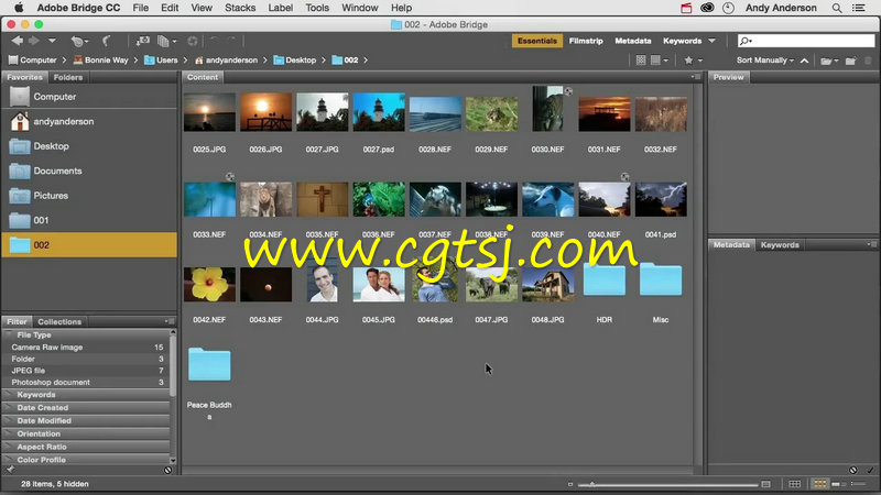 Photoshop CC 2015专业技能训练视频教程的图片2
