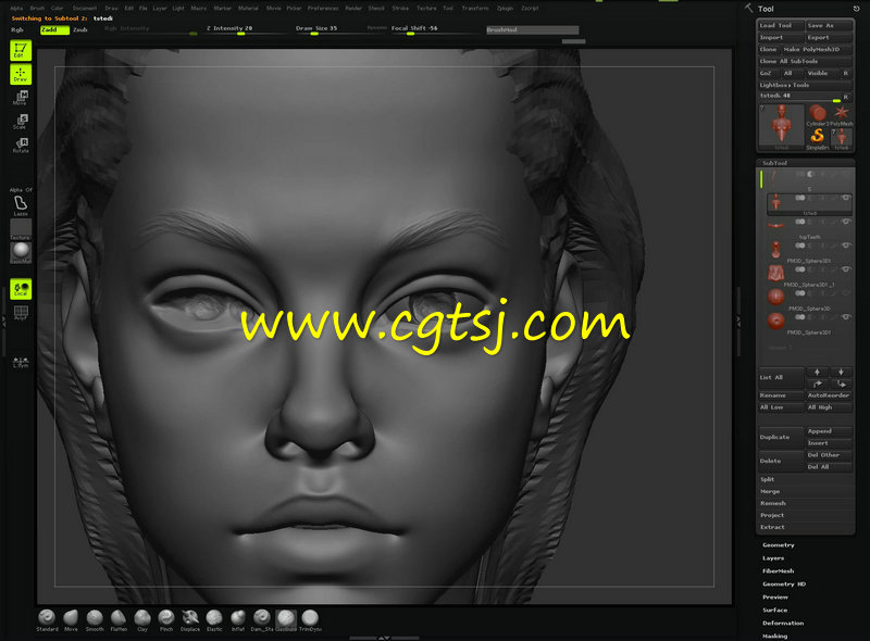 Zbrush头部雕刻技巧视频教程的图片2