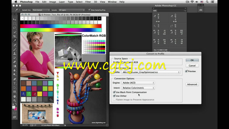 Photoshop CC色彩管理控制技术视频教程的图片2