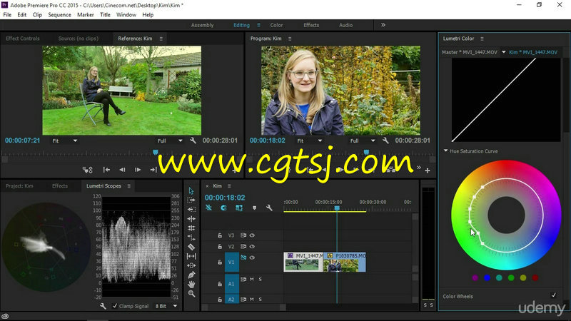 Premiere影视调色技术实例训练视频教程的图片2