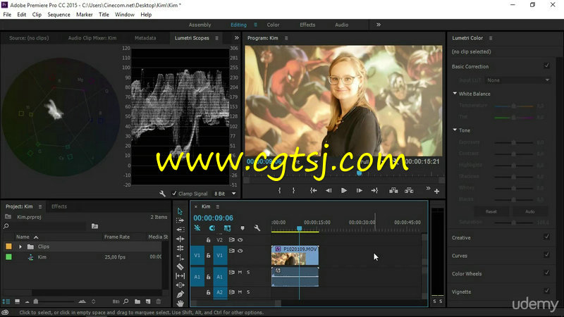 Premiere影视调色技术实例训练视频教程的图片3