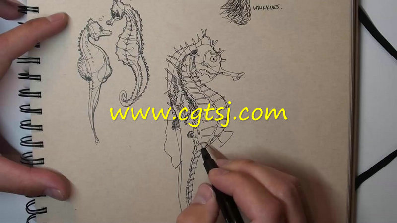 动物手绘艺术技巧视频教程的图片5