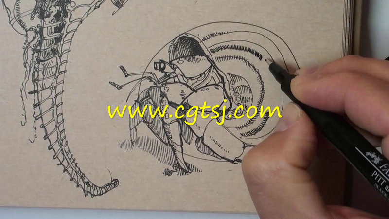 动物手绘艺术技巧视频教程的图片6