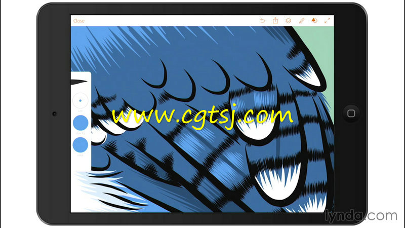 Adobe移动端插图绘制技术训练视频教程的图片1