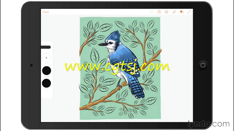 Adobe移动端插图绘制技术训练视频教程的图片4