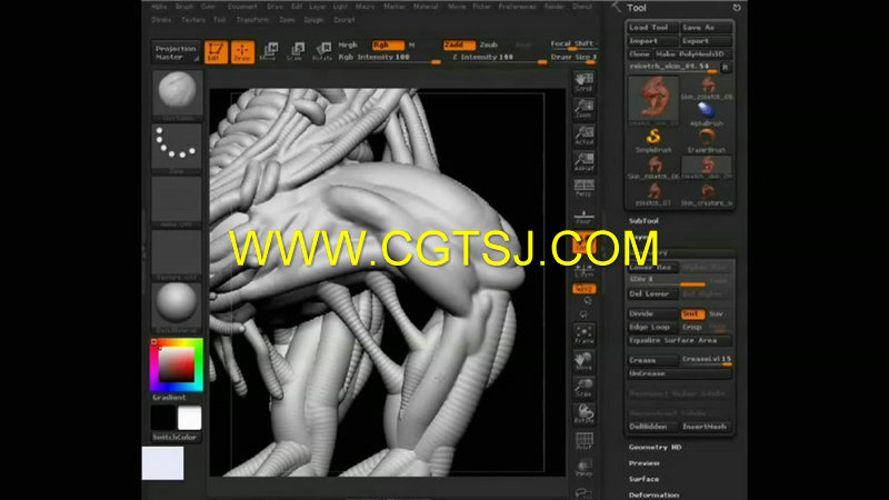 ZBrush中ZSketching使用技术视频教程的图片3