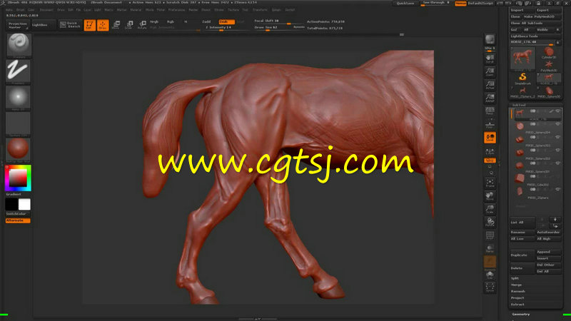 Zbrush动物雕刻深入剖析视频教程的图片1