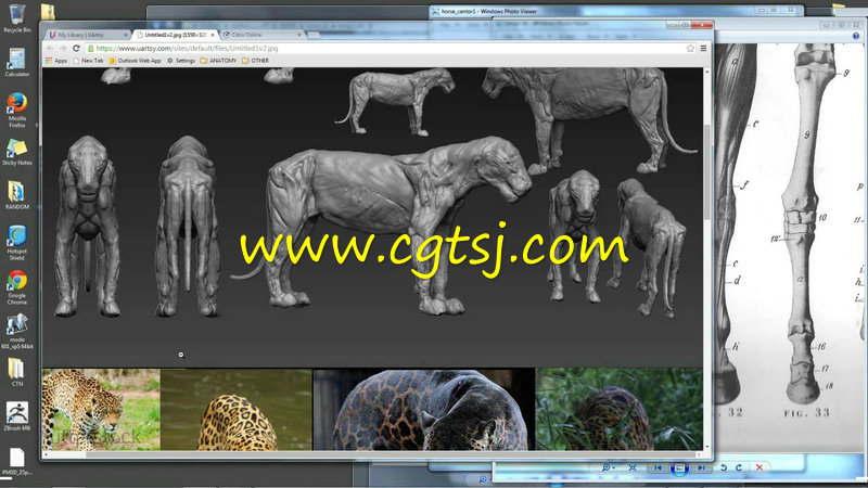 Zbrush动物雕刻深入剖析视频教程的图片2