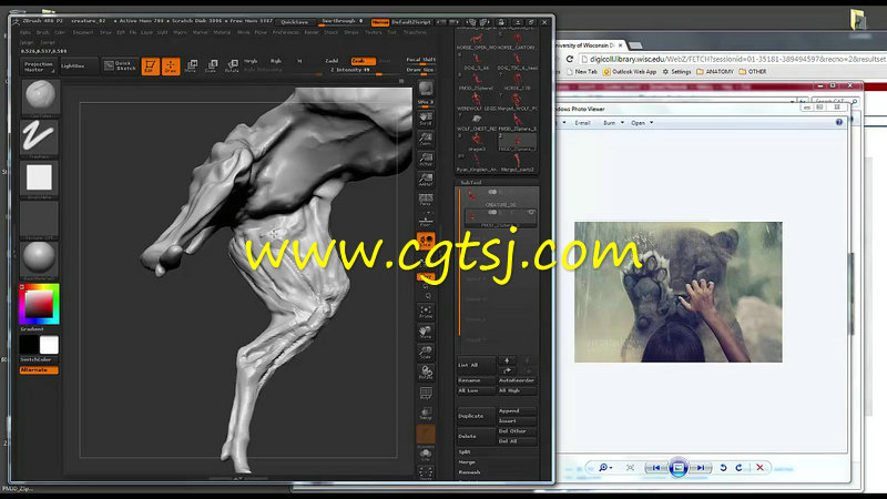 Zbrush动物雕刻深入剖析视频教程的图片4