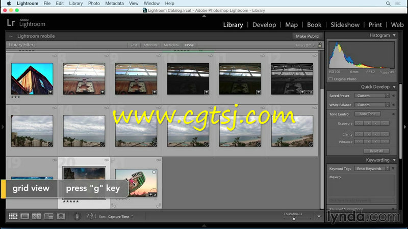 LT与PS摄影师工作流程攻略视频教程的图片2