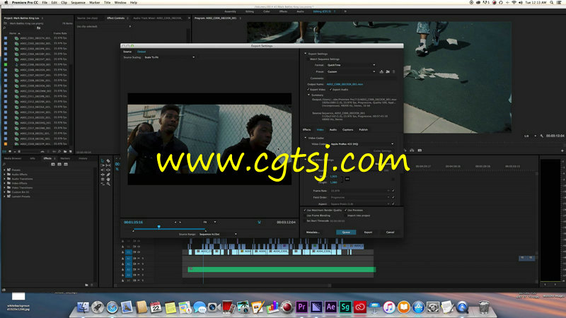 Premiere视频编辑优化技巧视频教程的图片3