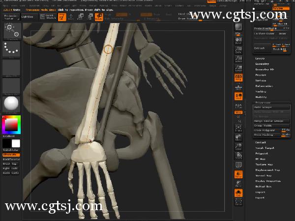 ZBrush人体解剖学大师班视频教程的图片3