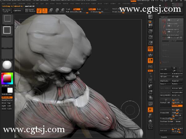 ZBrush人体解剖学大师班视频教程的图片4