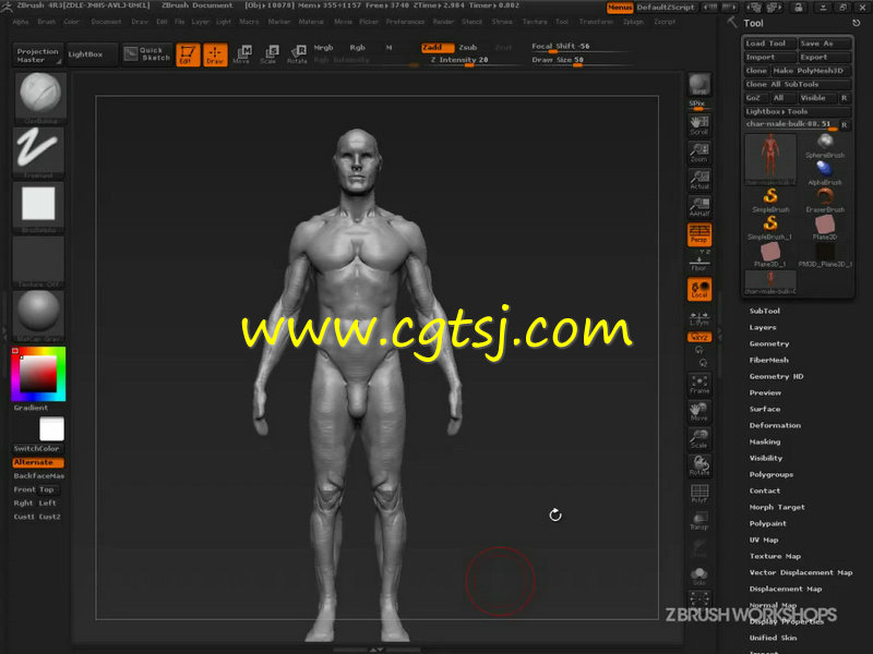 ZBrush人体骨骼结构肌肉细节姿势姿态深入剖析视频教程的图片1