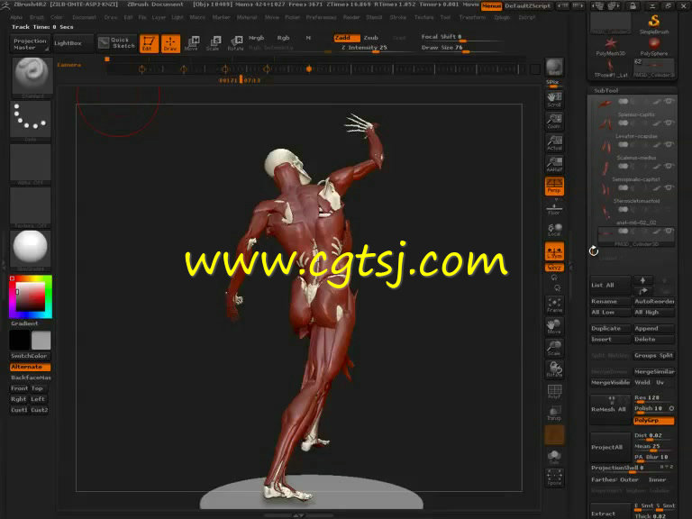 ZBrush人体骨骼结构肌肉细节姿势姿态深入剖析视频教程的图片3