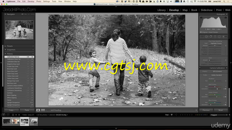 Lightroom黑白艺术照片实例制作视频教程的图片2
