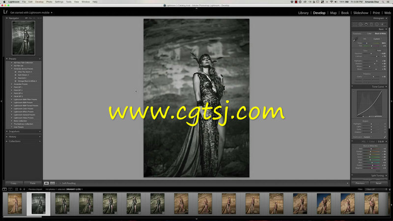顶级摄影师时装模特摄影与后期修饰高端训练视频教程的图片1