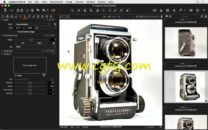 Capture One Pro9图像处理全面核心训练视频教程的图片3