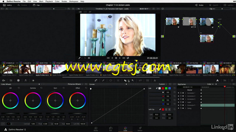 DaVinci Resolve 12高级色彩分级技术训练视频教程的图片2