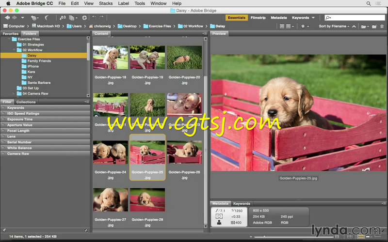 Photoshop CC 2015一对一基础技能训练视频教程的图片2