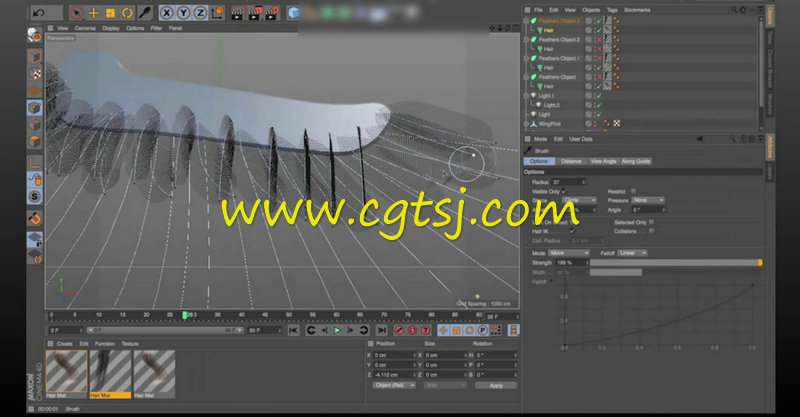 C4D羽毛系统高级技术训练视频教程的图片3