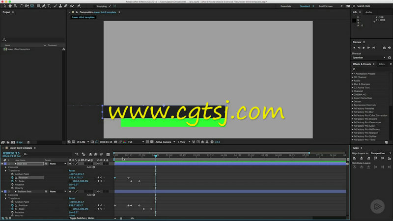 Premiere与Adobe创意云系列软件工作协作视频教程的图片1
